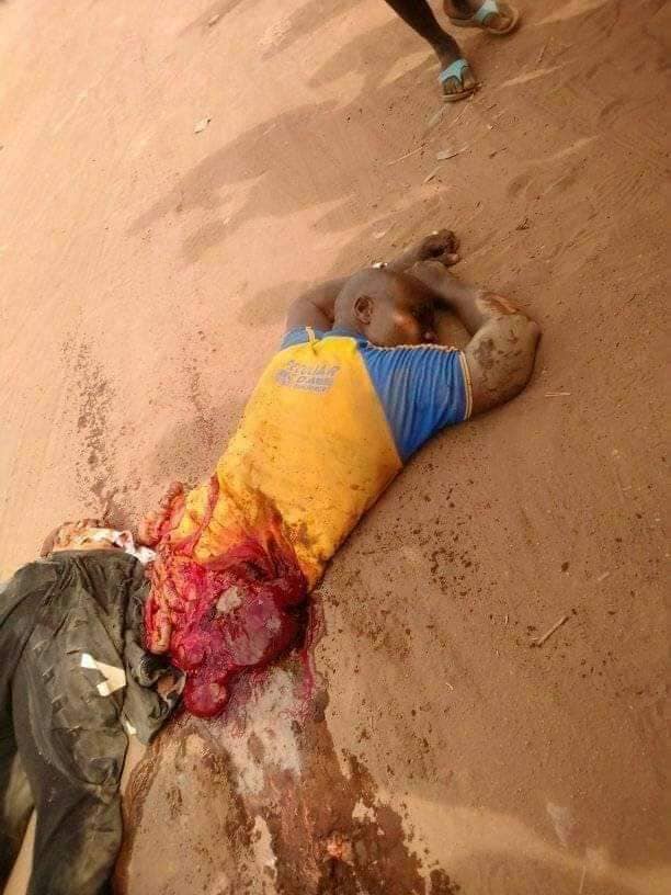 88097080 10157671295018880 4358828589198606336 n