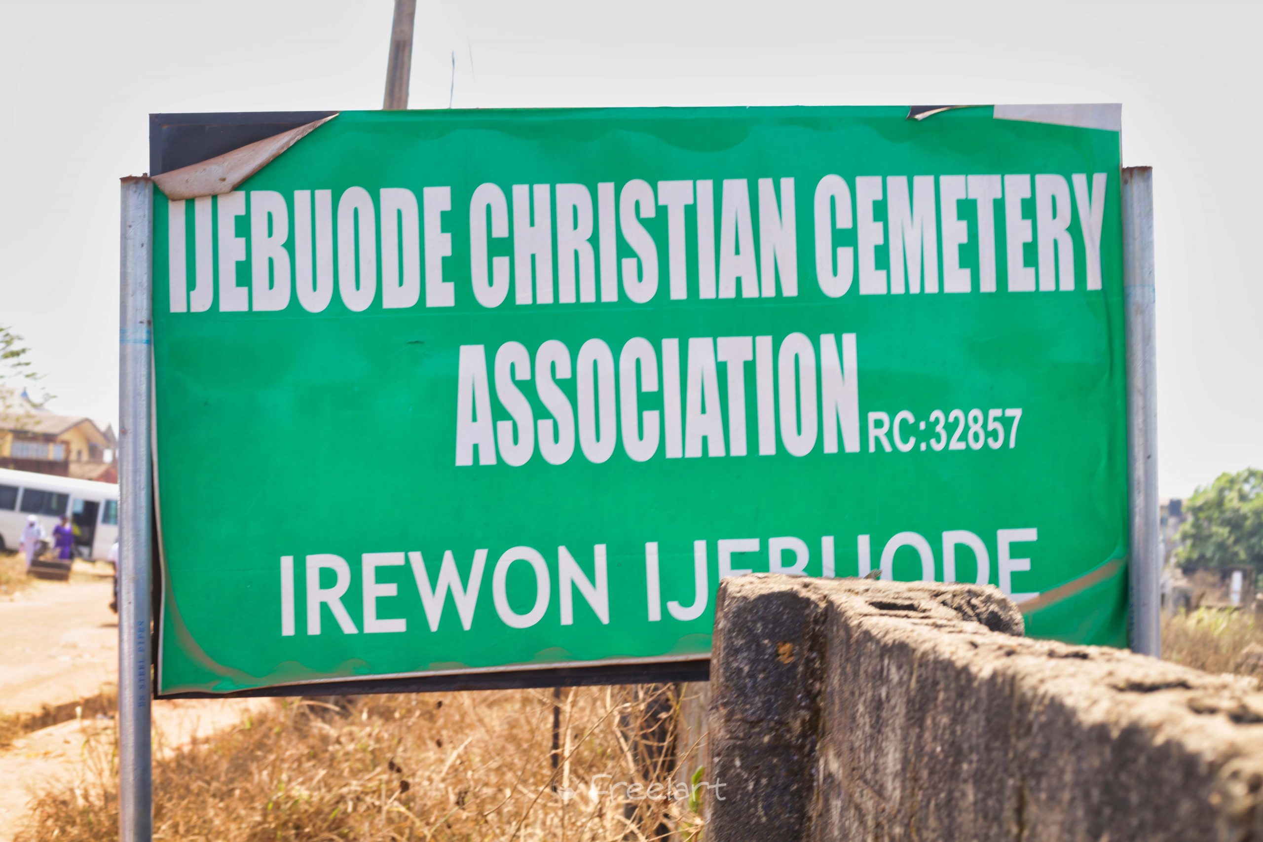 freelanews W86A4662 310 scaled 1