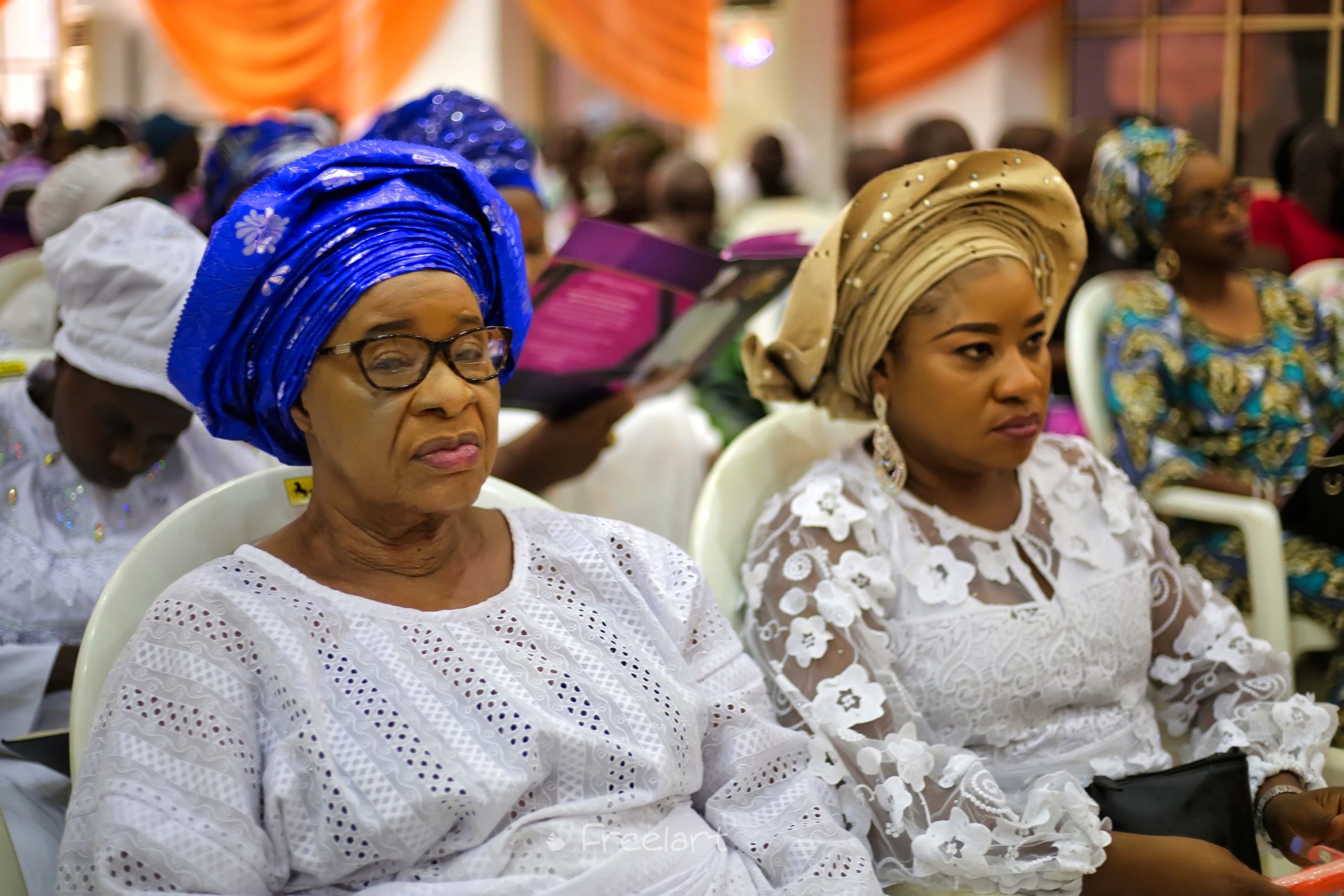 freelanews MG 3780 8 scaled 1