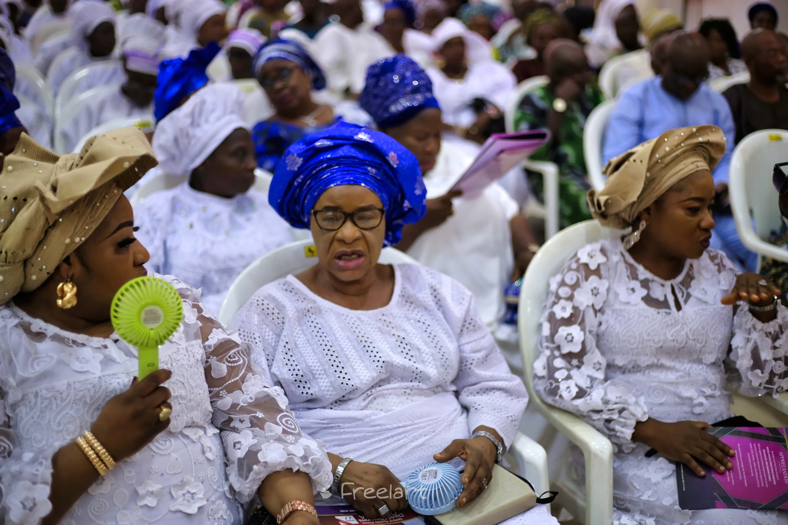 freelanews MG 3825 43 scaled 1