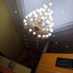 WhatsApp Image 2020 03 19 at 10.26.16 PM 1