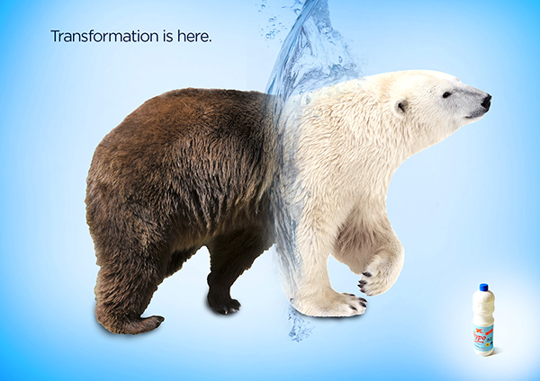 b37bb620429943.562eb28bbb197