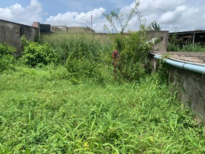 WhatsApp Image 2020 05 17 at 4.40.04 PM