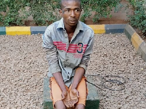 IMG 20191231 100710 765 500x375 1