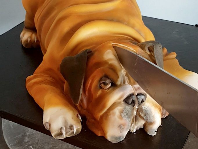 0 CATERS ANIMAL CAKE BACKLASH 01 682x1024 1