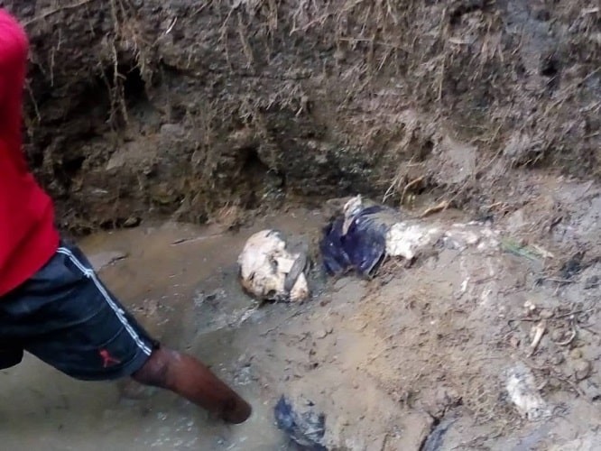 oil thieves capture and bury 3 police informants alive 2 min