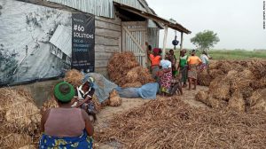 200730151859 gka water hyacinth workers exlarge 169
