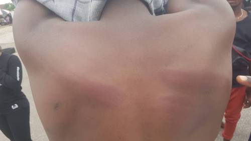 WhatsApp Image 2020 08 05 at 2.19.09 PM