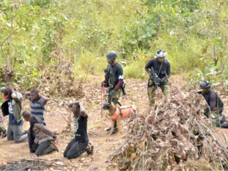 Northu2019s many deadly forests 1