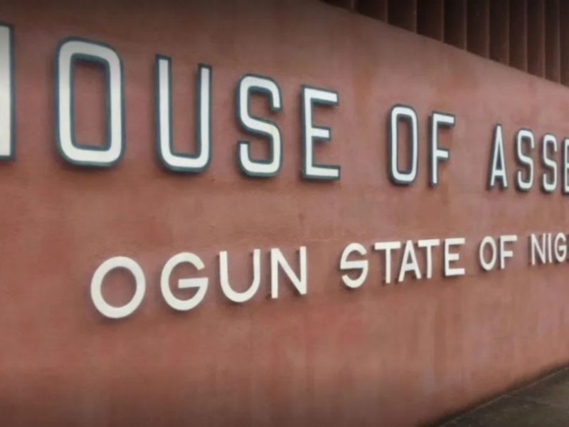 WhatsApp Image 2020 12 10 at 08.41.50