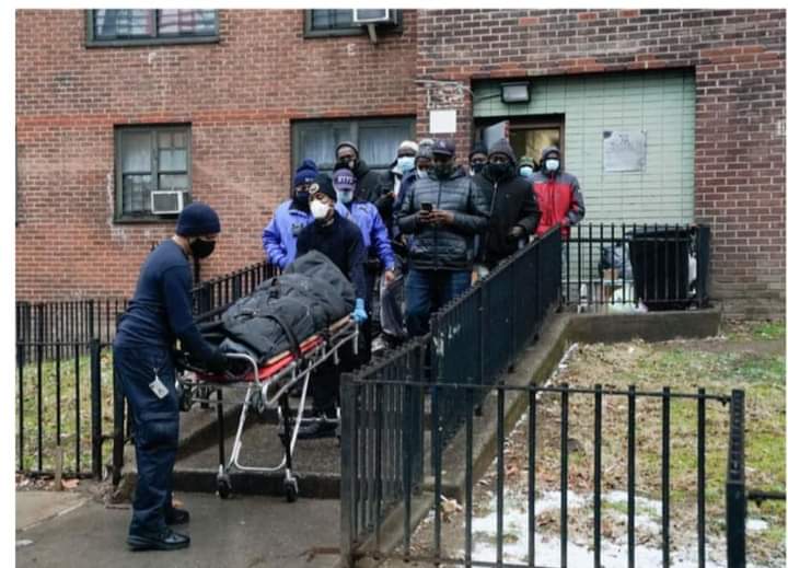 WhatsApp Image 2021 01 29 at 9.18.03 AM 1