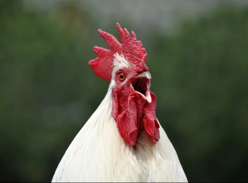 WhatsApp Image 2021 03 01 at 3.57.21 PM 1