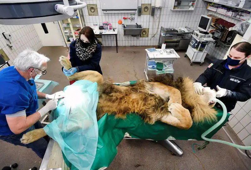 WhatsApp Image 2021 03 12 at 10.13.55 AM