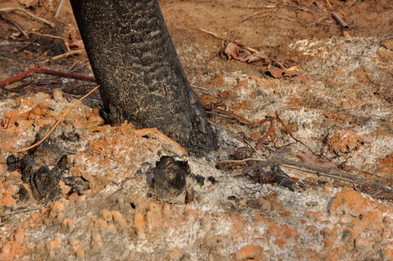 WhatsApp Image 2021 05 04 at 5.59.10 PM