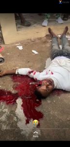 IMG 20210805 WA0071 491x1024 1