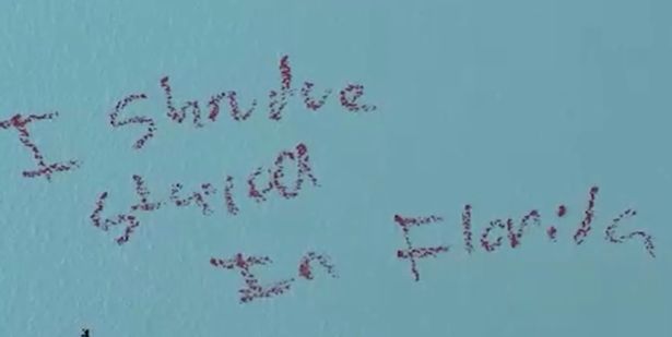 0 Mercedes Morrs stalker scrawled confession on walls in lipstick after killing OnlyFans star dad cl