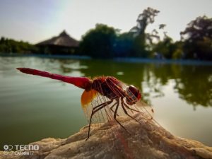 Fullscreen capture 02092021 45041 pm