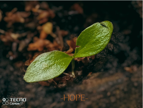 Fullscreen capture 02092021 45124 pm