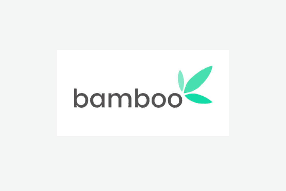 bamboo