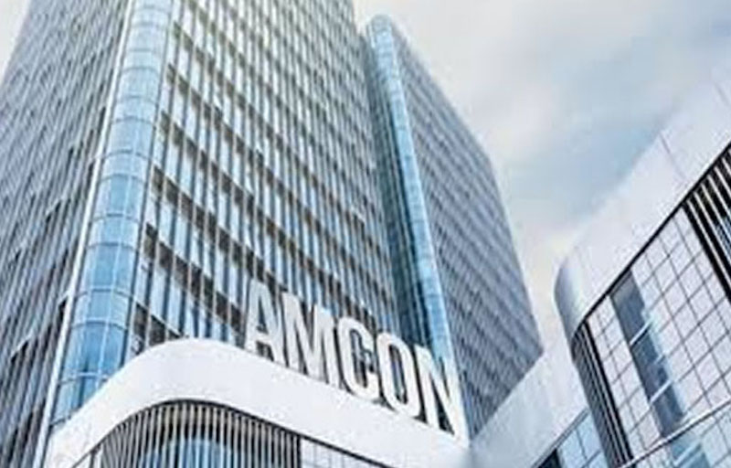 Amcon2