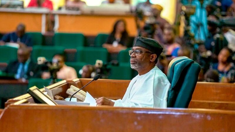 house of representatives scaled