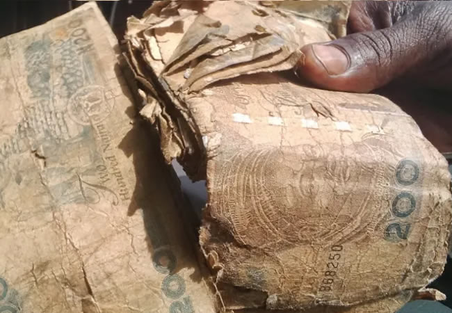 Mutilated naira notes