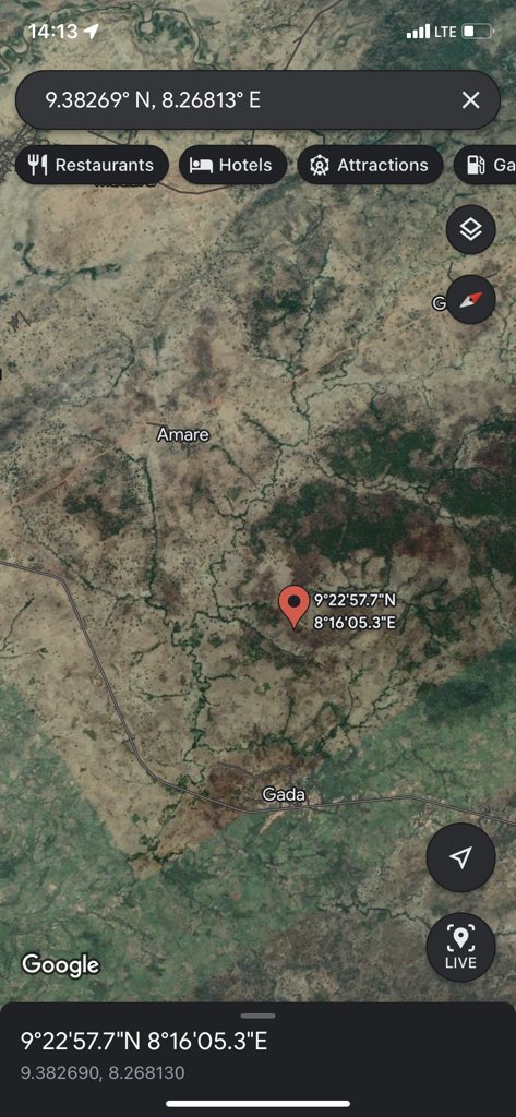 freelanews-ameerah-coordinate