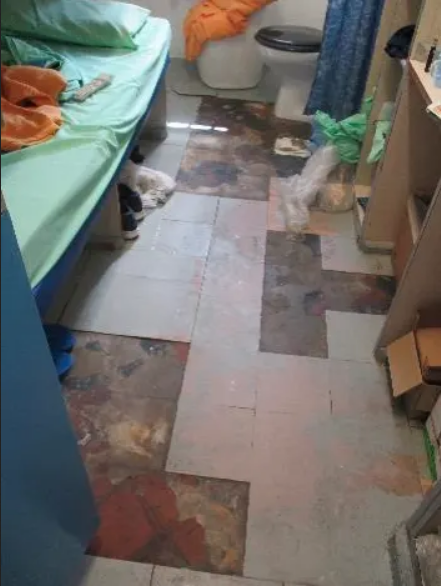 screenshot 2022 08 05 at 20 12 09 4ff23d10 1409 11ed 9fd5 803240963e76.webp (webp image 353 × 469 pixels)