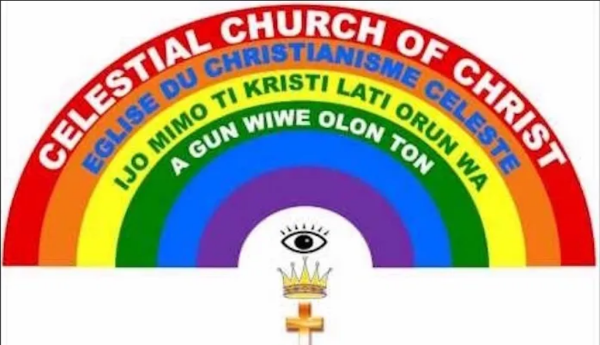 screenshot 2022 08 08 at 16 01 21 cele.jpeg (webp image 699 × 402 pixels)