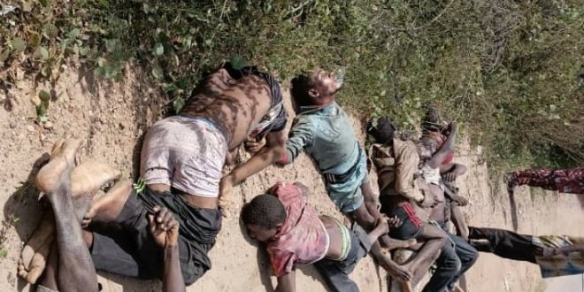 166733642094953675114231183725572 e1667363550680 660x330 1