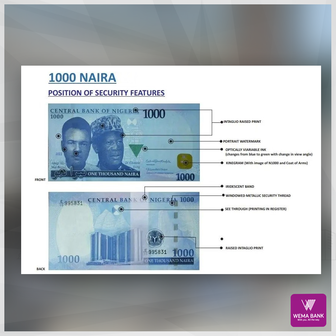 321373913 831768281241796 1610212324386547489 n