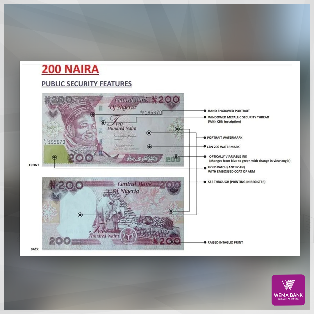 321414794 709834713821348 9155132465522576865 n