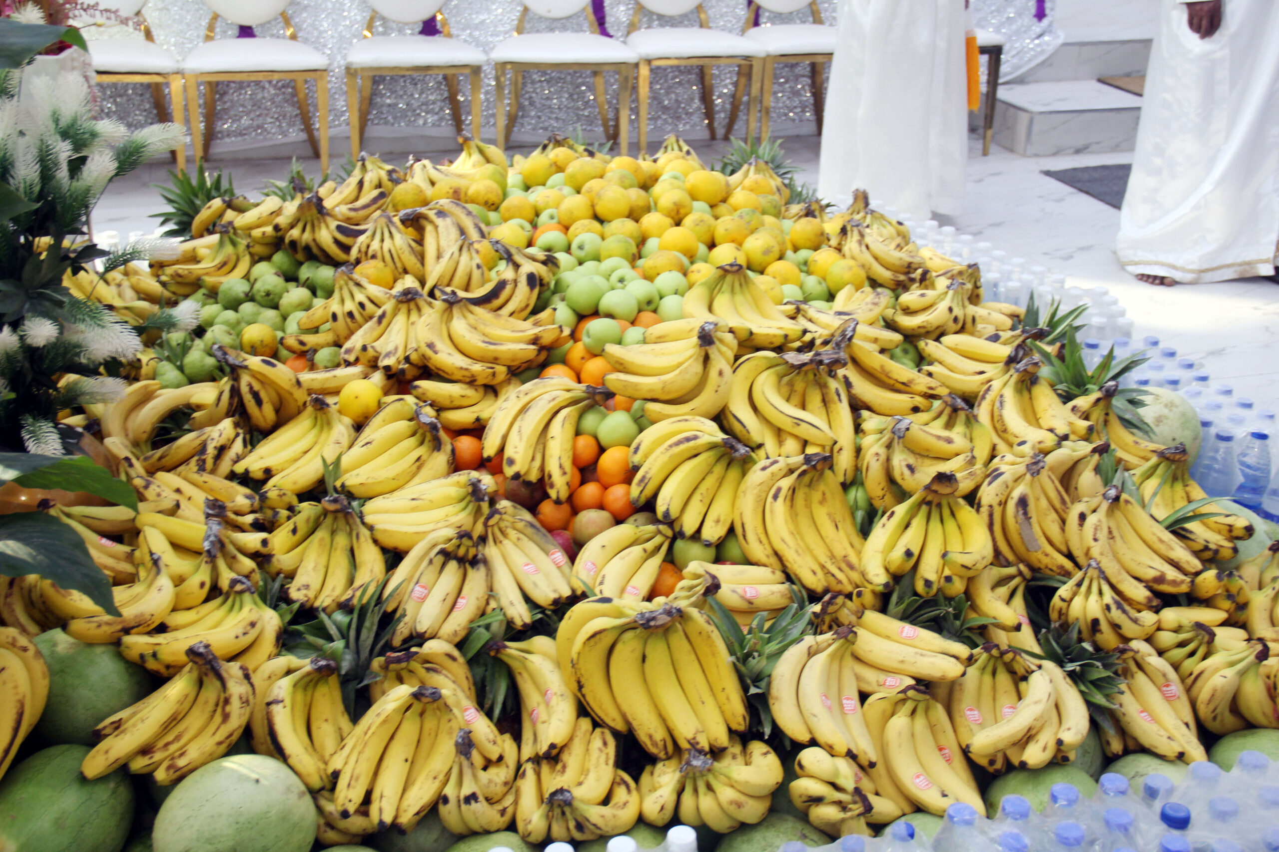 kok+harvest img 59431670850390932