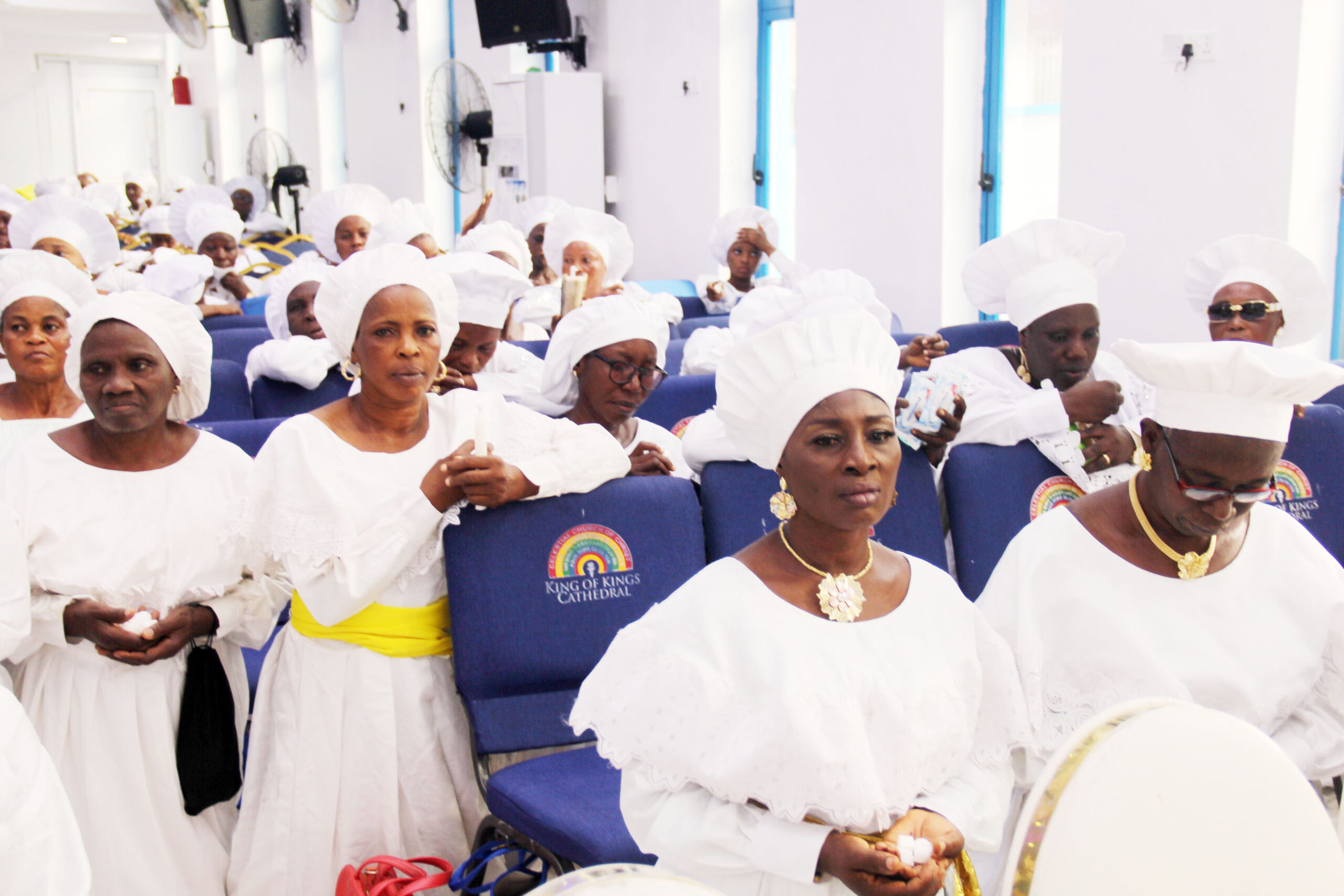 kok+harvest img 59451670850390935