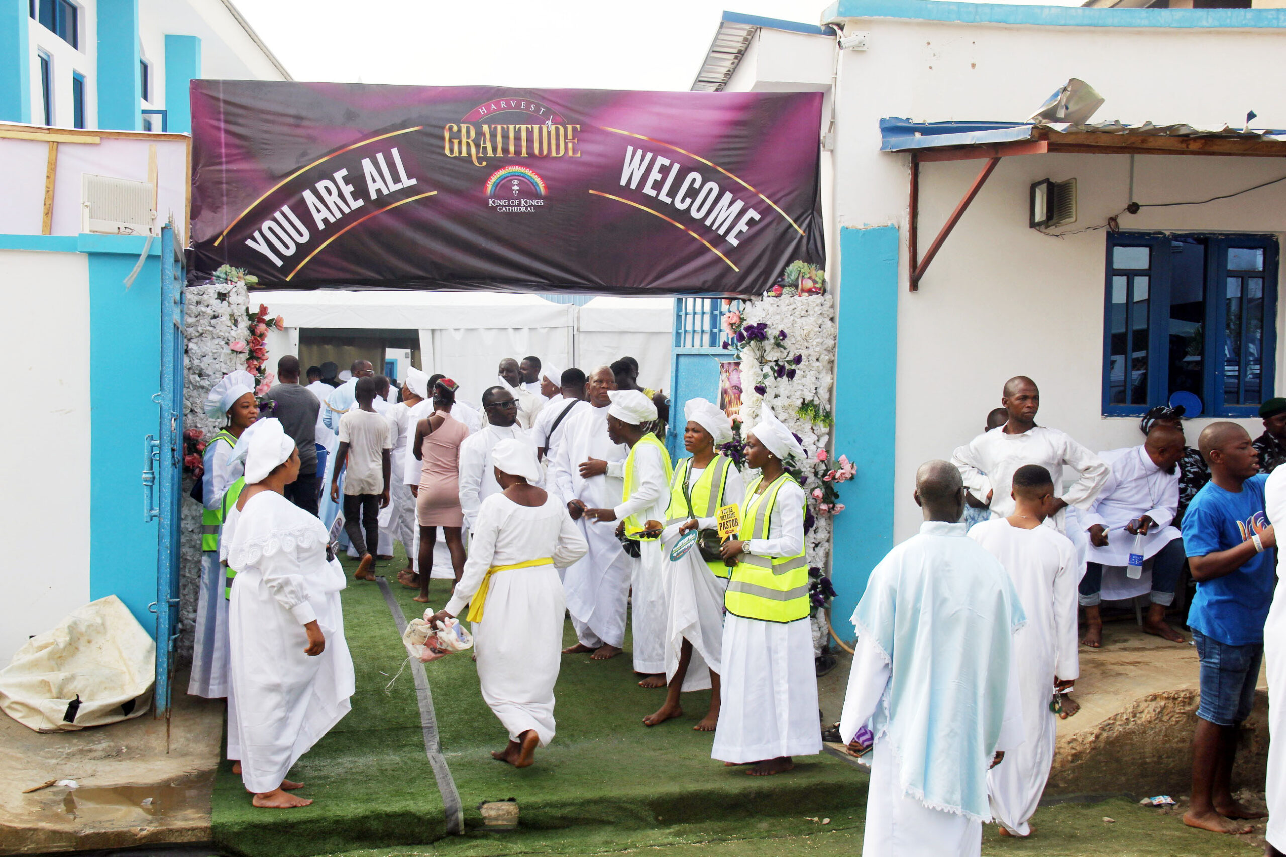 kok+harvest img 59851670850390962