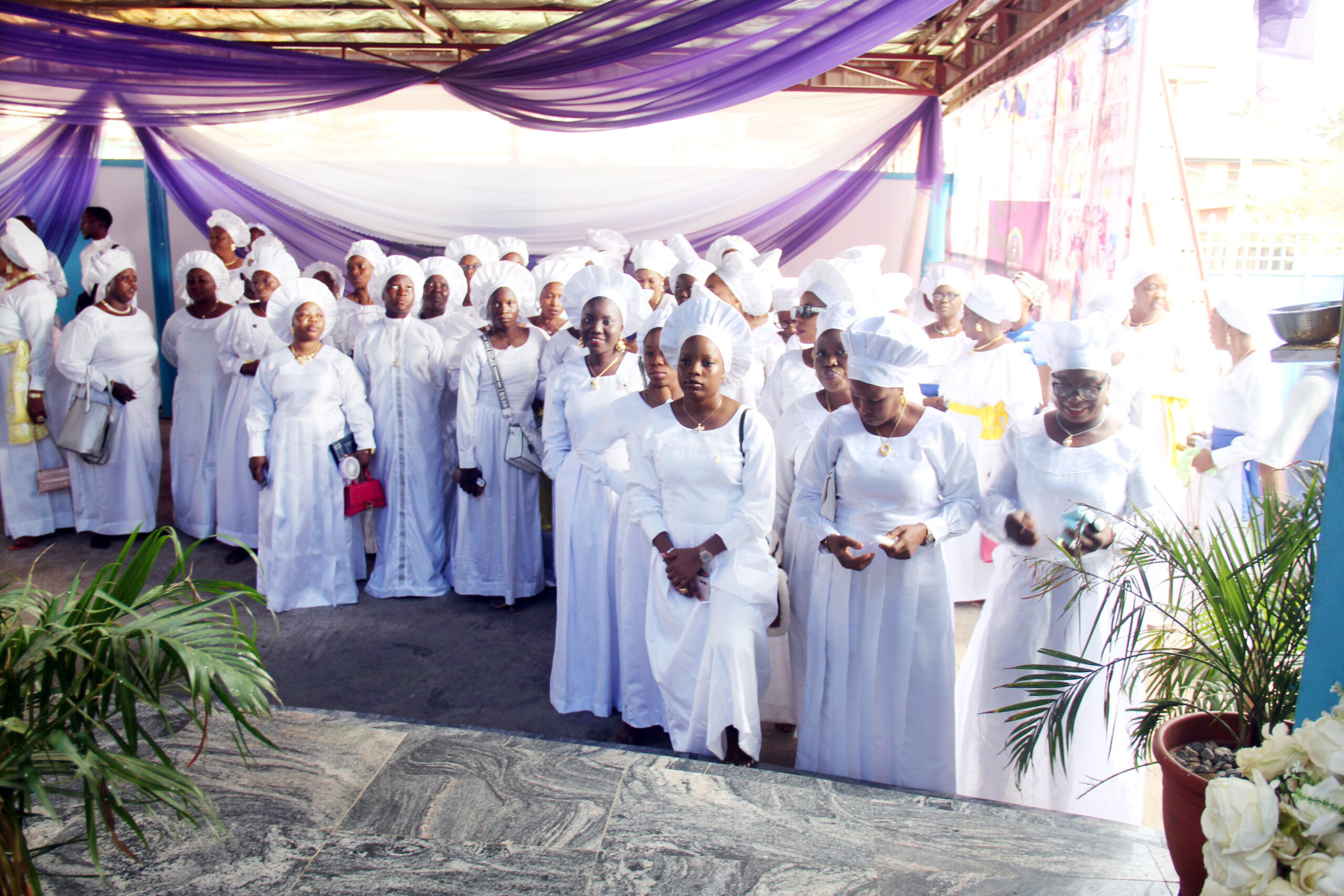 kok+harvest img 60331670850390988