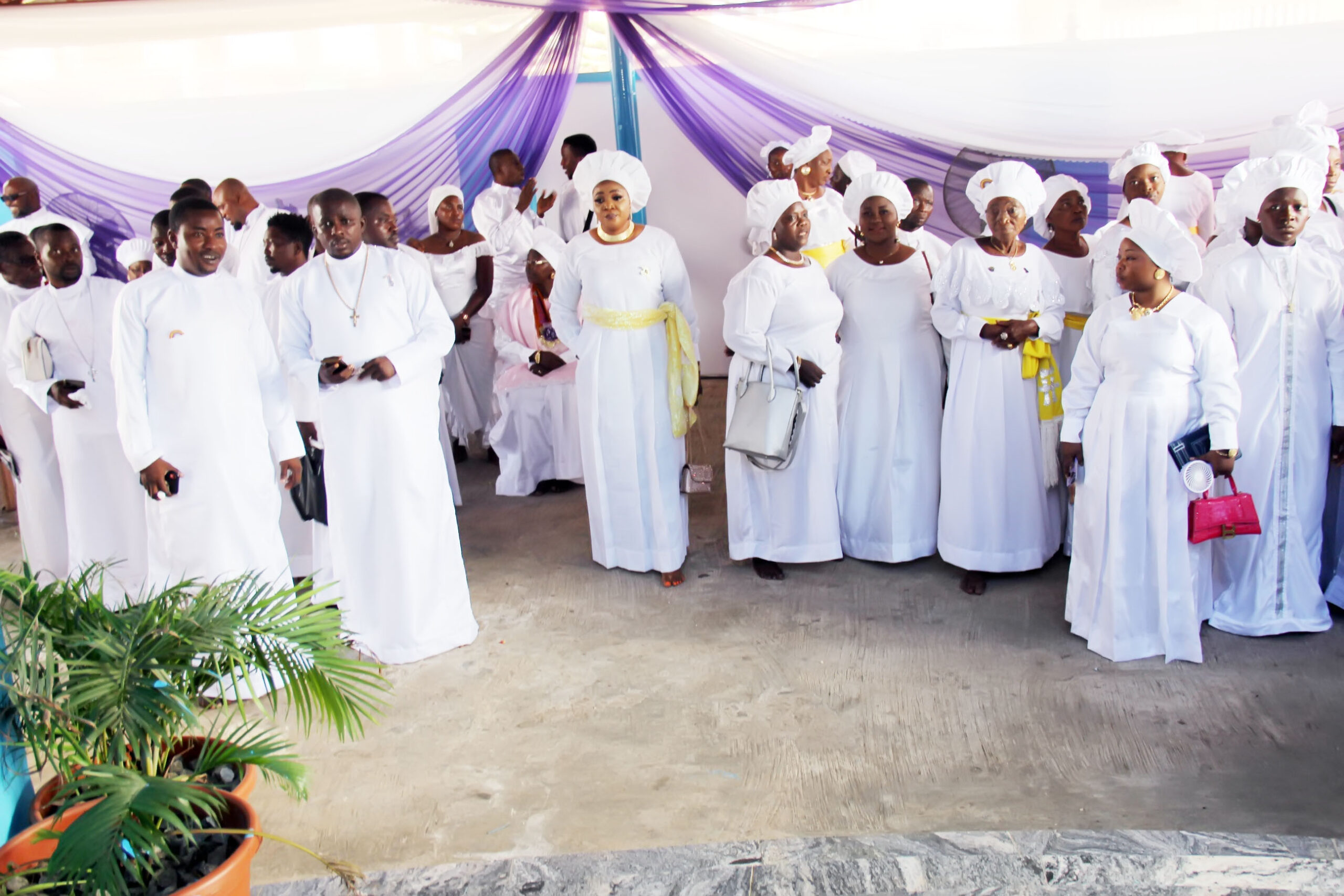 kok+harvest img 60361670850390989