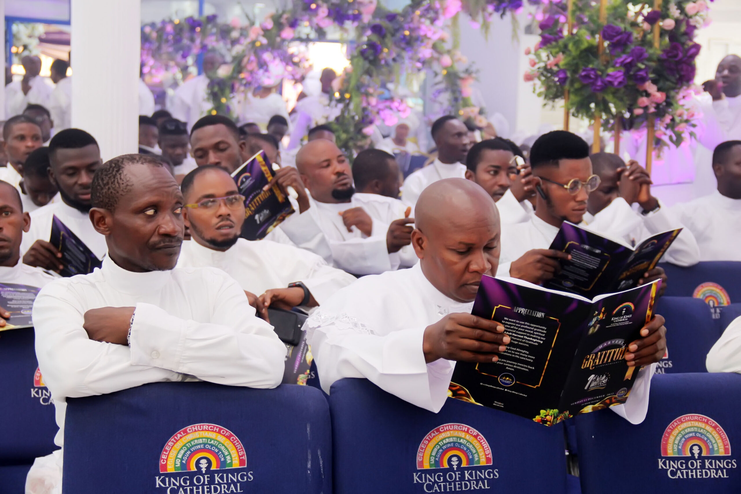 kok+harvest img 60741670850391007