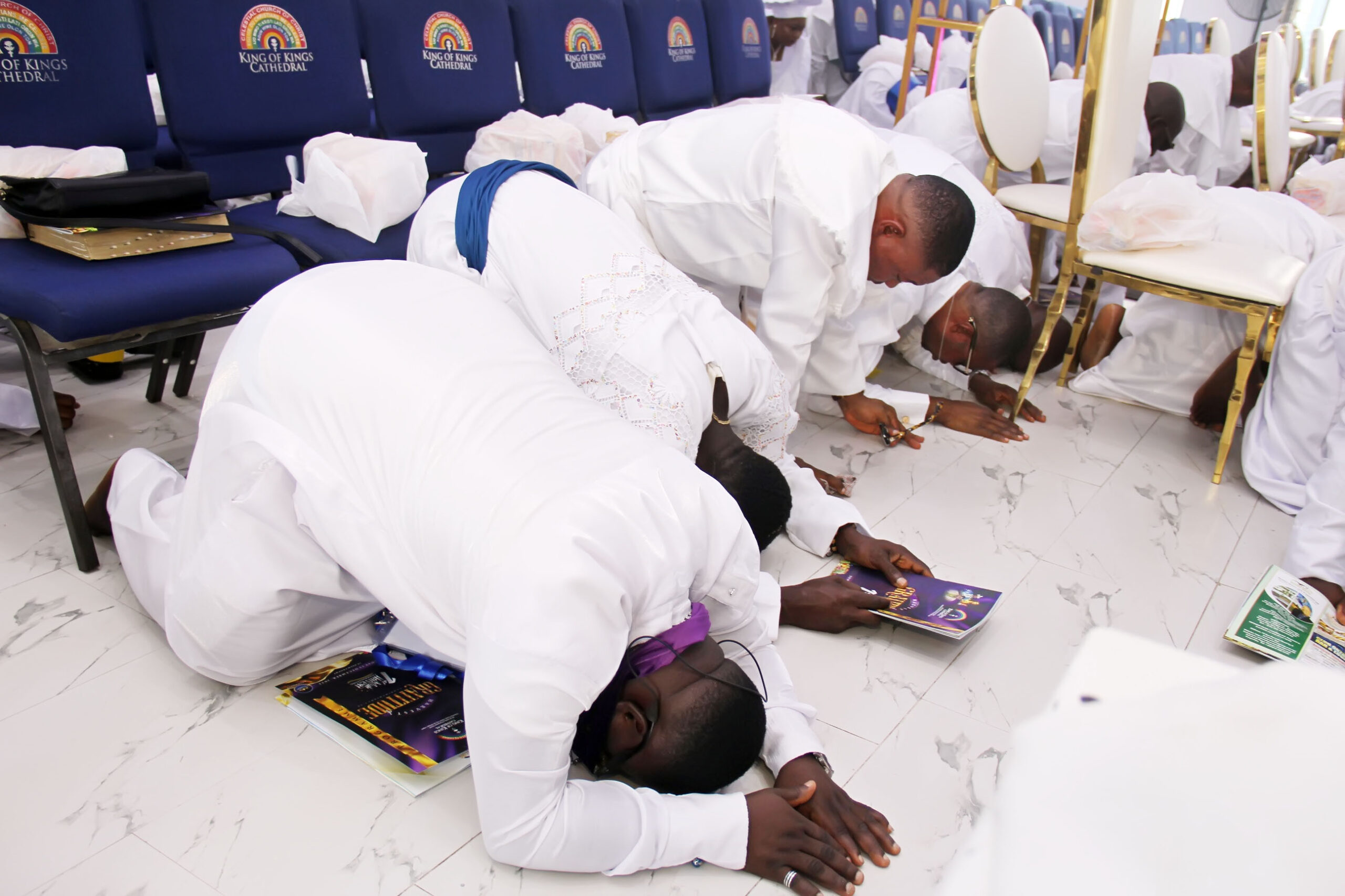 kok+harvest img 60811670850391010