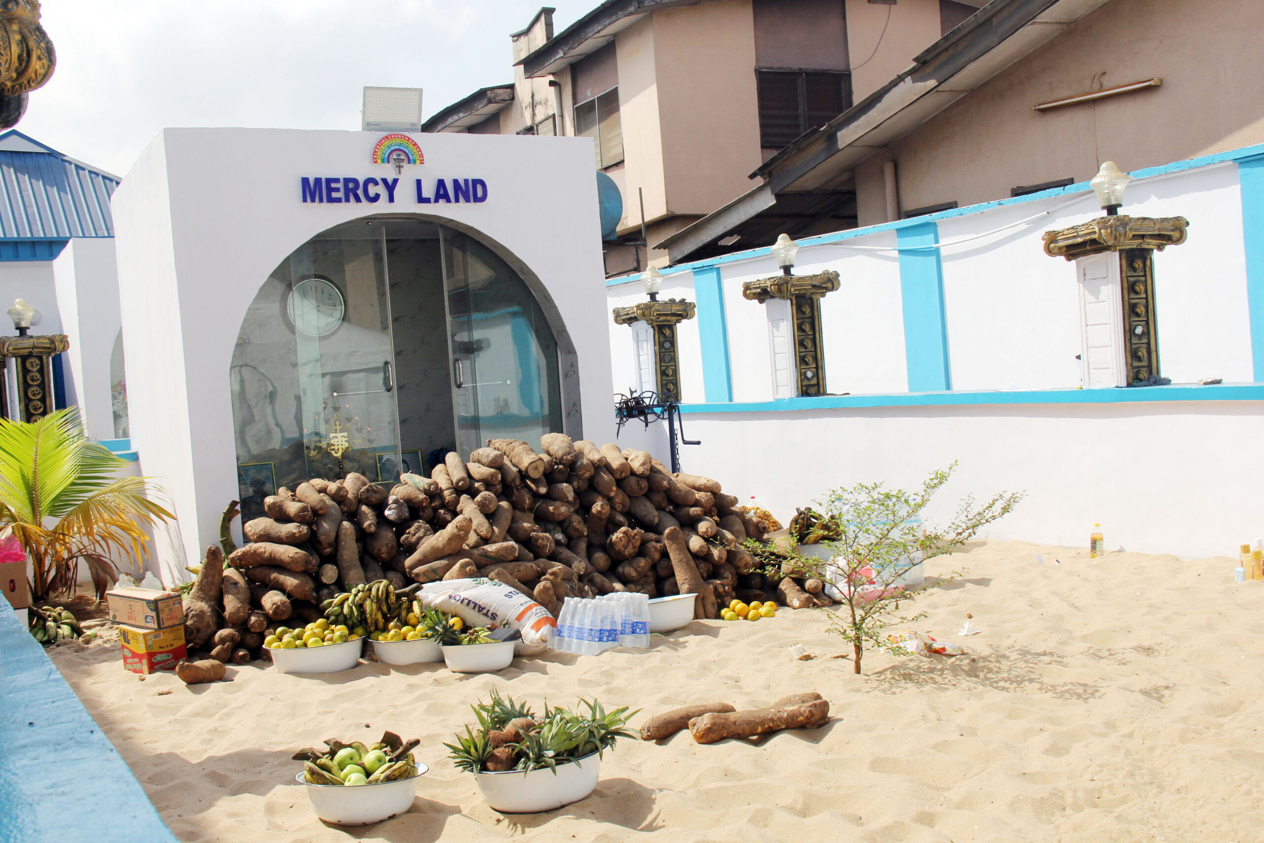 kok+harvest img 61331670850391035