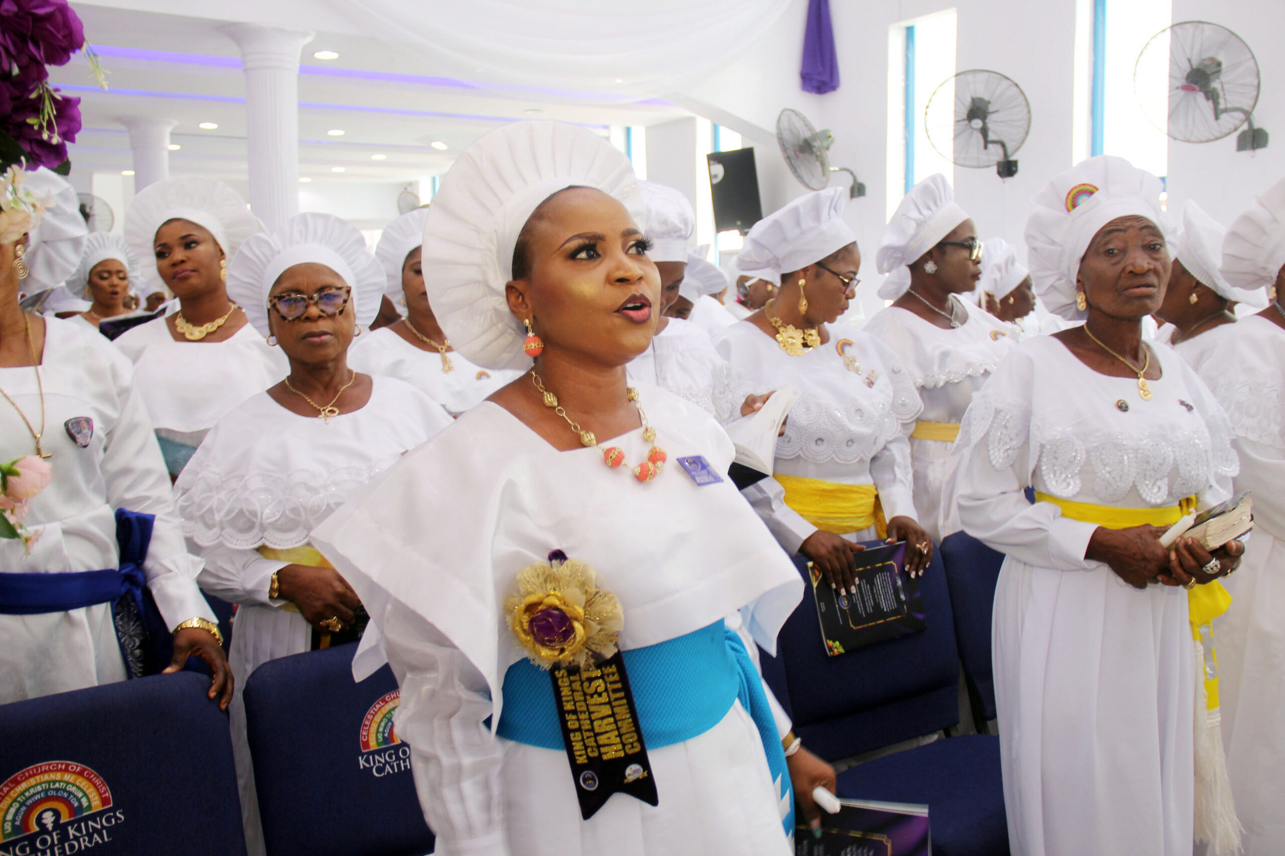 kok+harvest img 61571670850391042