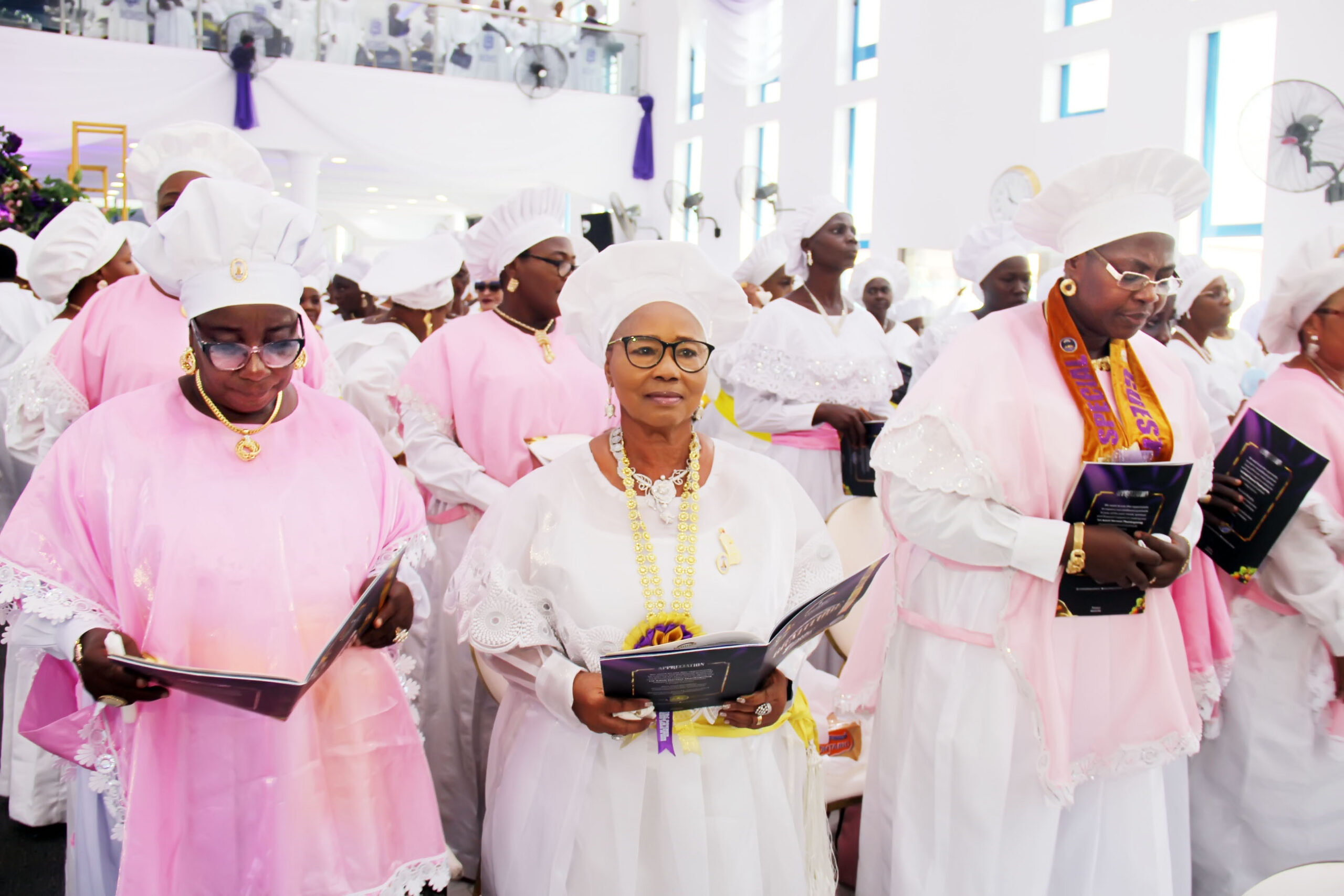 kok+harvest img 61801670850391050