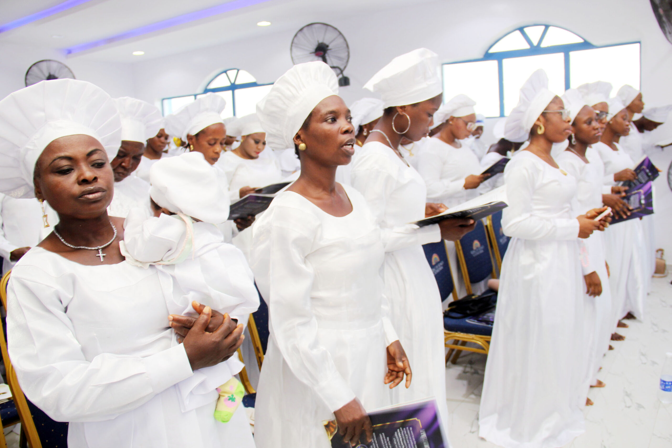 kok+harvest img 61831670850391051