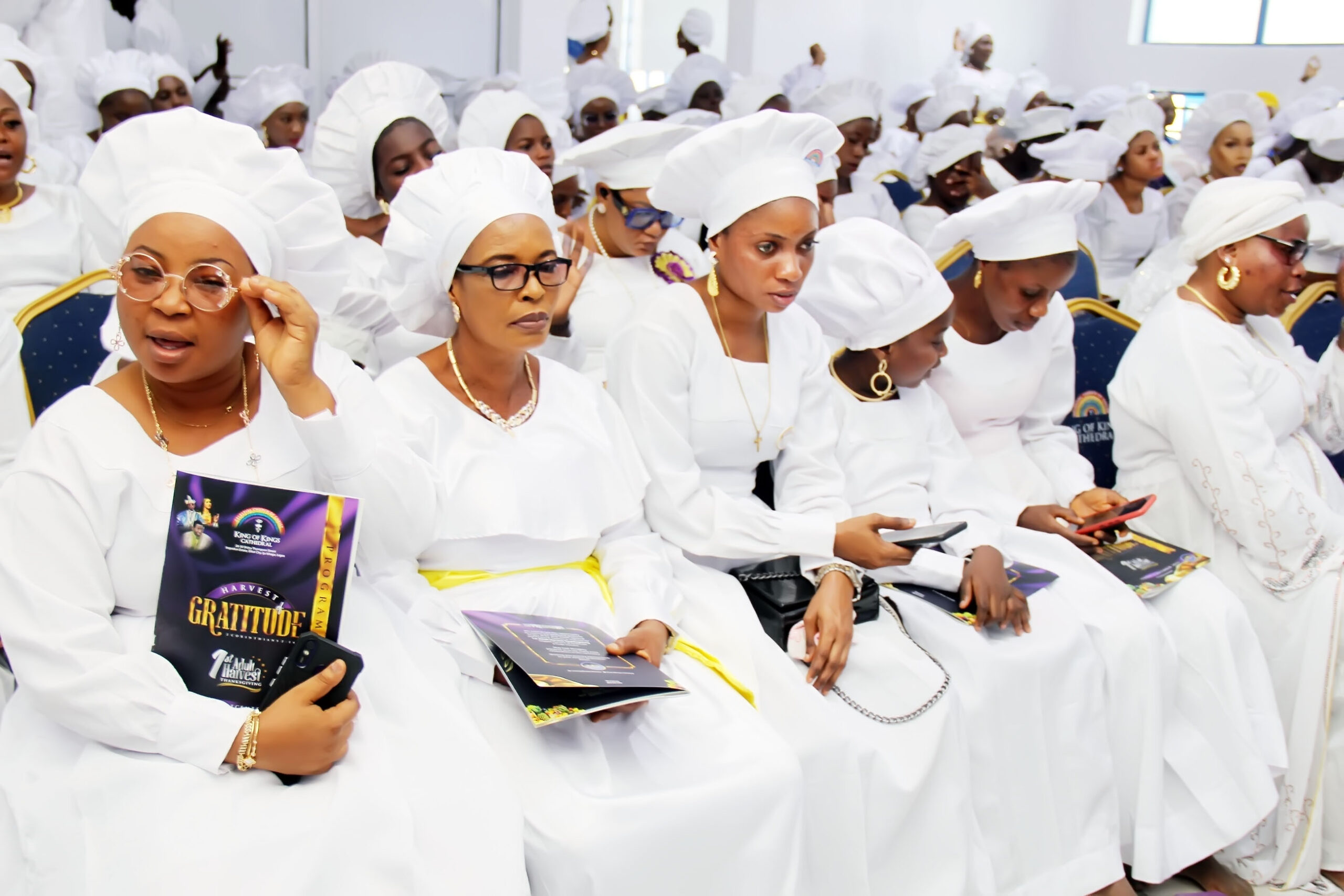 kok+harvest img 62351670850391074