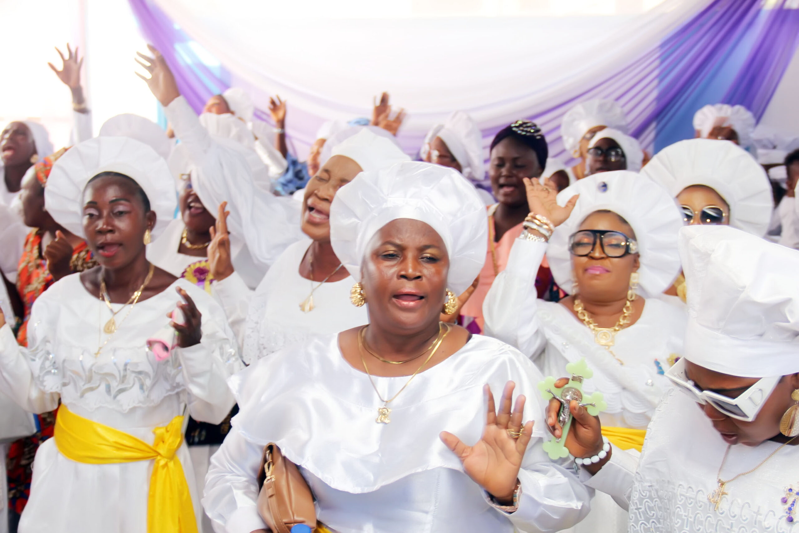 kok+harvest img 63071670850391095