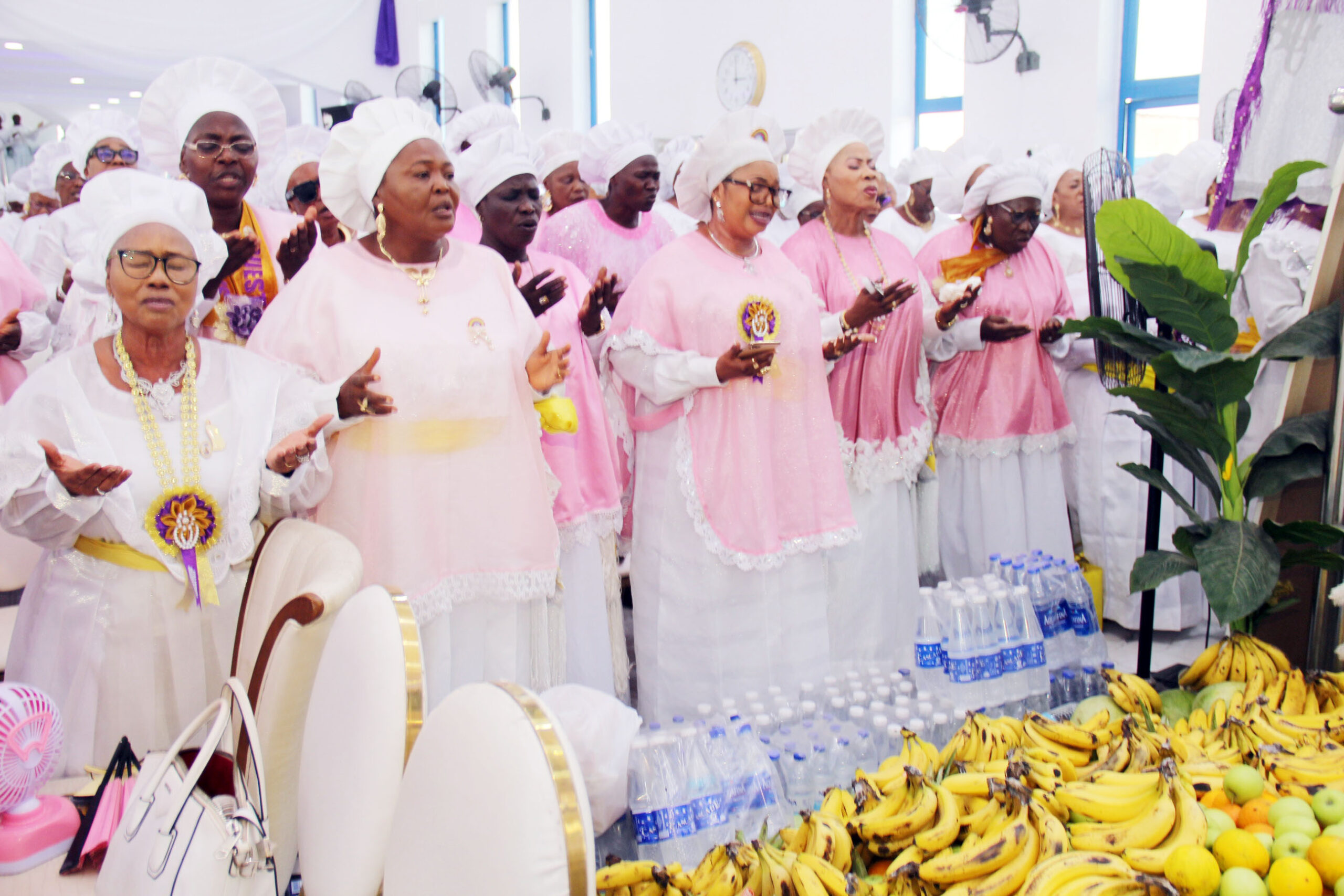 kok+harvest img 63321670850391109