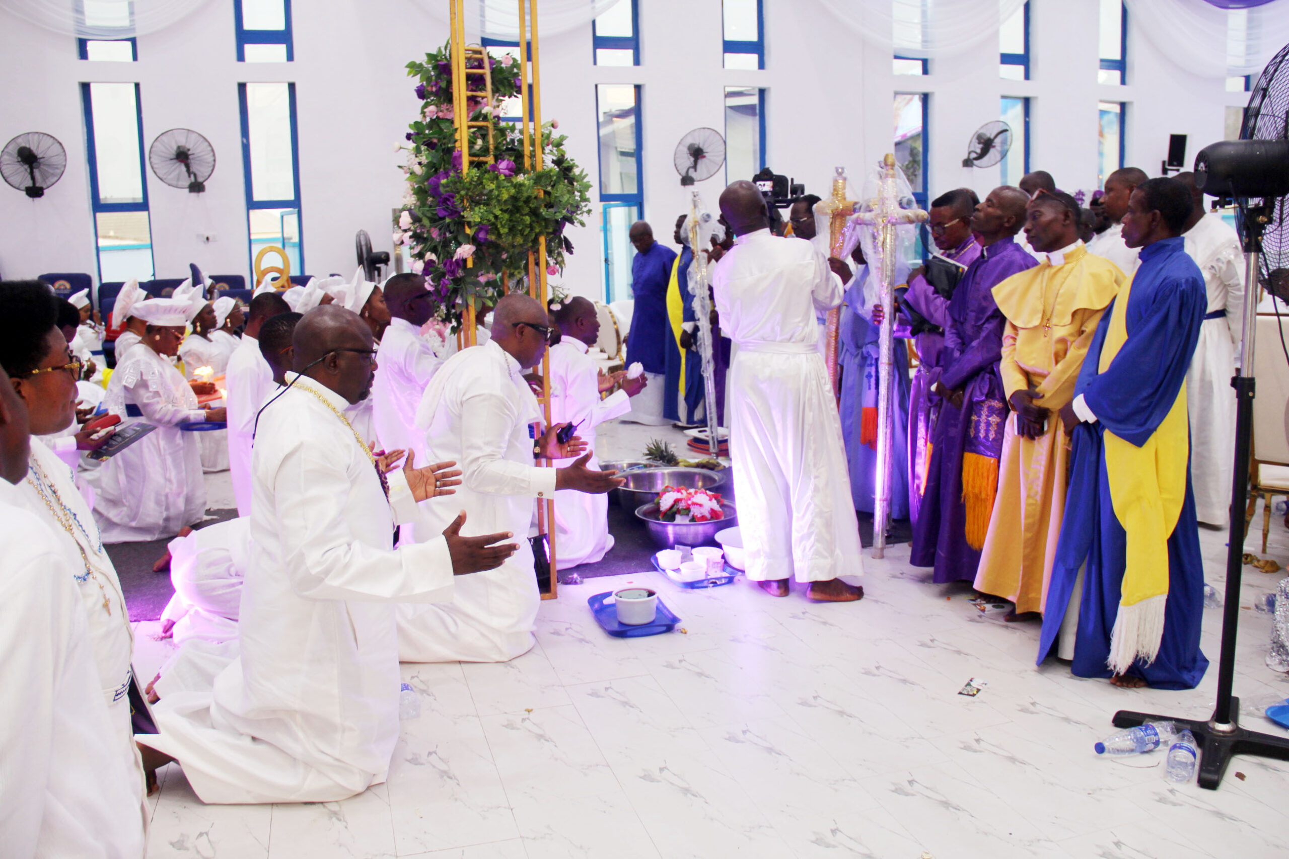 kok+harvest img 64231670850391145