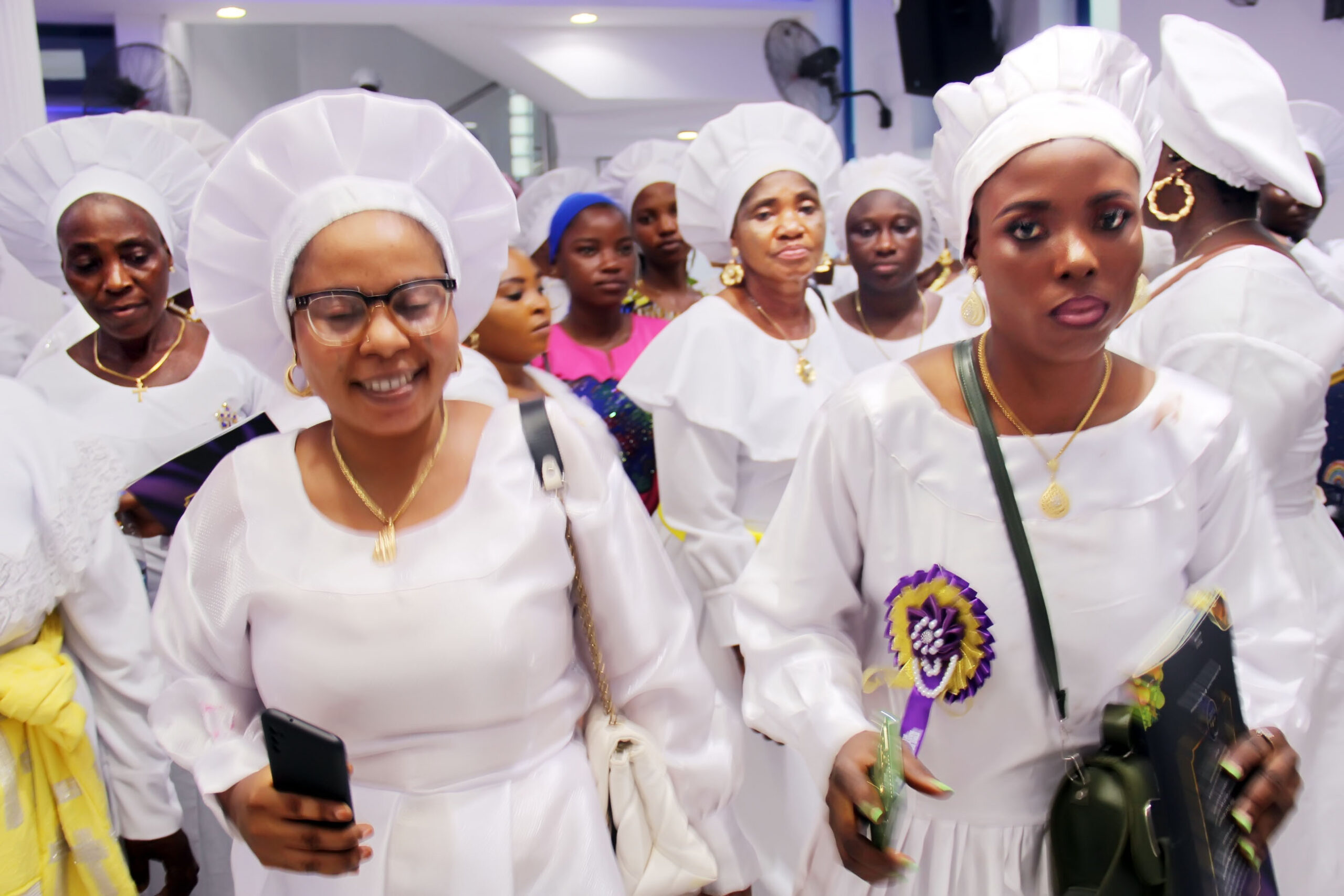 kok+harvest img 64341670850391150