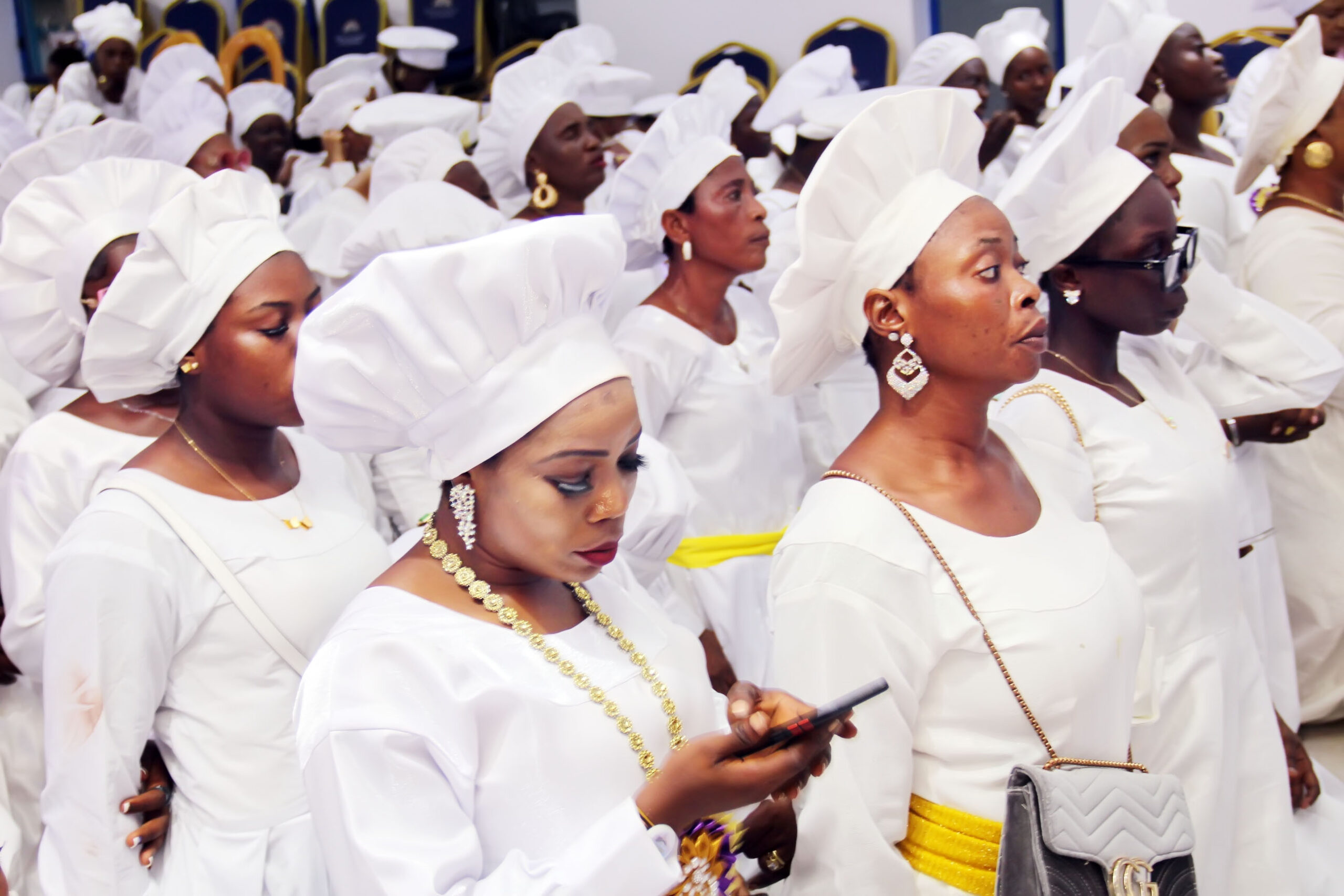 kok+harvest img 64581670850391159