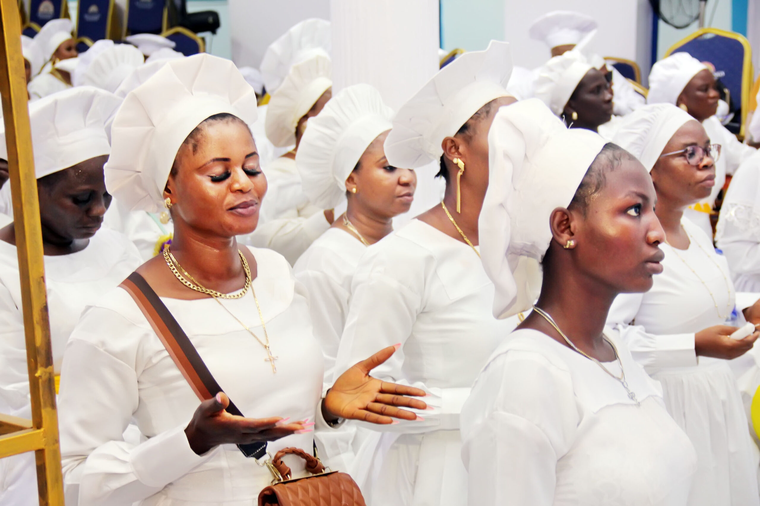 kok+harvest img 64641670850391161